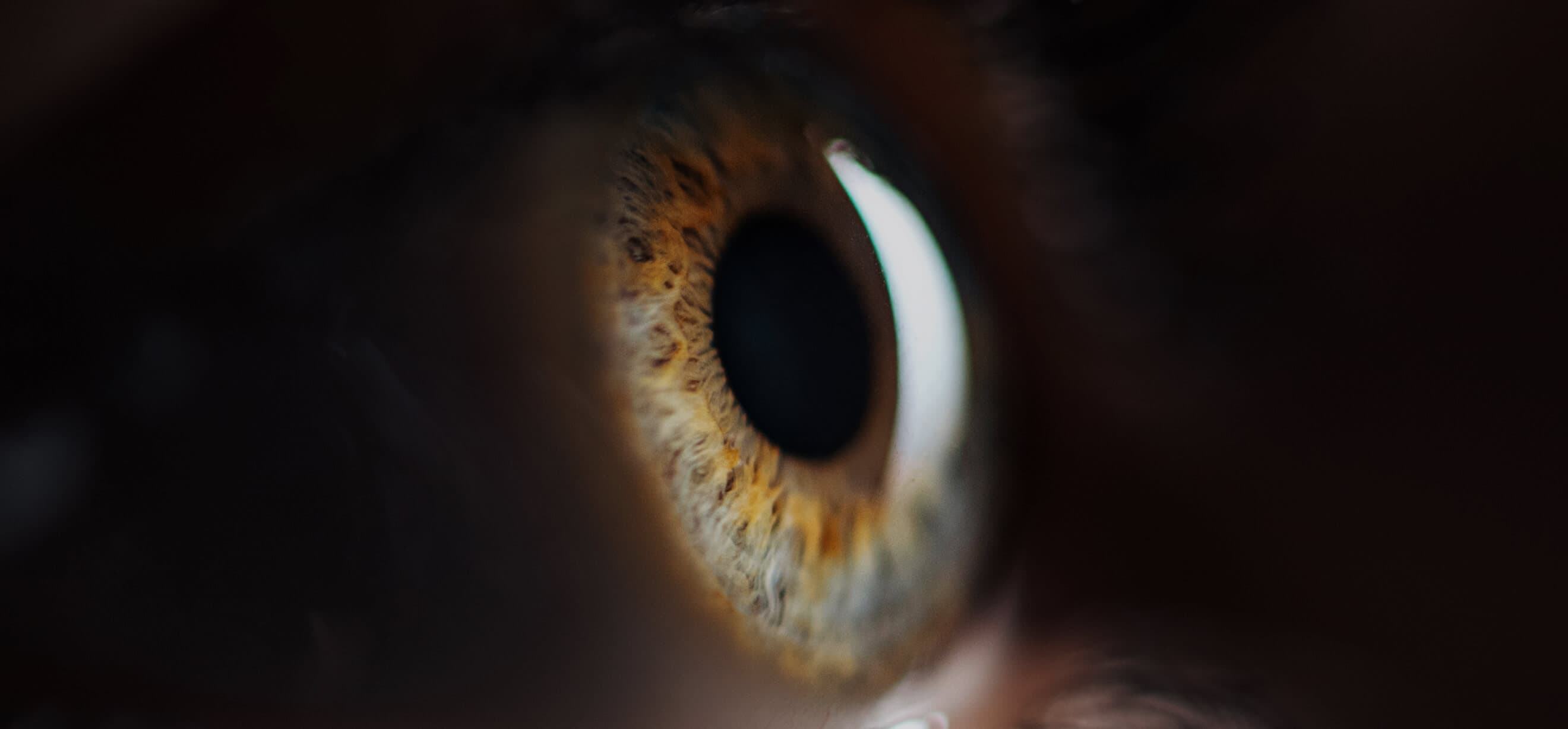 Oko